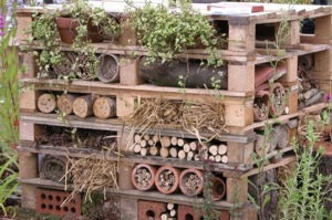 bees, protecting bees, gardening, gardens, heart and frond, home decor, kokedama, beehive, environment, health, local, shop local